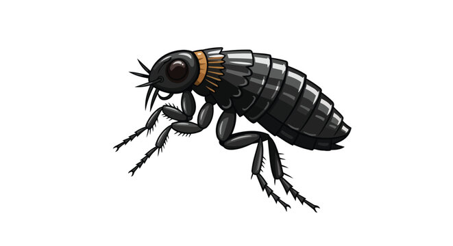 Detailed Flea Insect Vector Illustration Isolated on White Background for Pest Control and Biological Studies