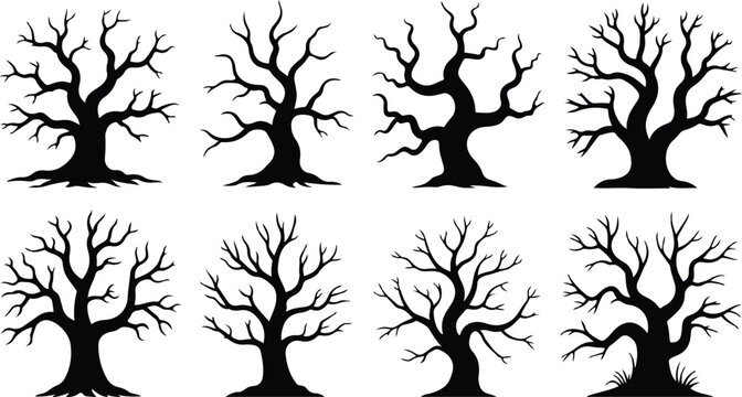 bare winter trees silhouette isolated on transparent background