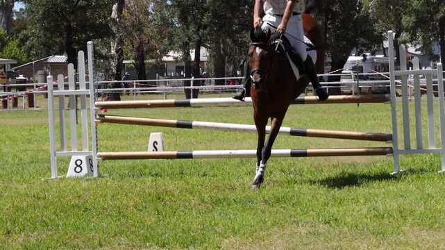 Professional equestrian jumping over hurdle during show jumping competition on sunny grass field.