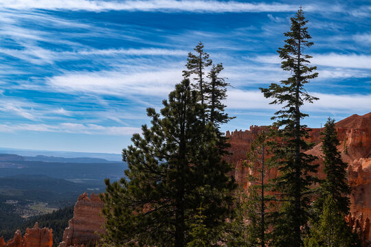 Panoramic mountain landscape with tall evergreen trees, red canyon cliffs, and a dramatic blue sky over distant rolling valleys.