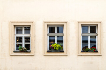 Fototapeta premium Elegant Windows