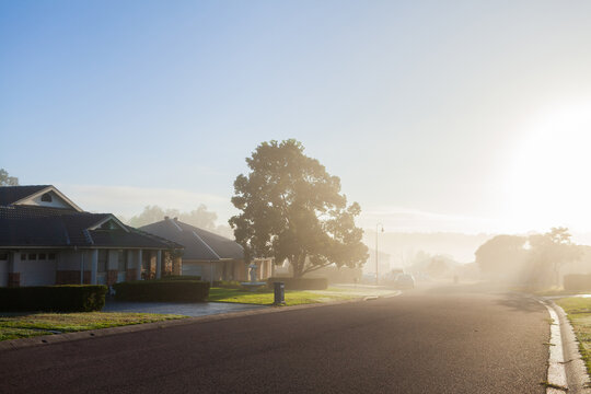 Urban street scene with morning light through mist hiding houses along road