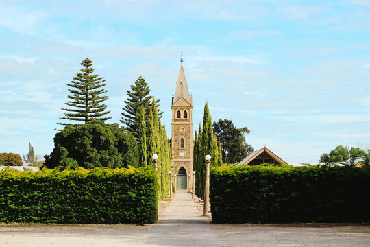 Tree‑lined path leading to a historic church under a bright, open sky