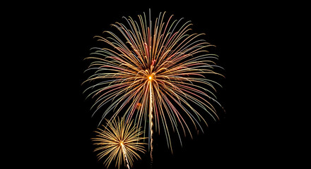 Obraz premium Beautiful vibrant fireworks display in the night sky, creating a stunning explosion of golden light and festive celebration