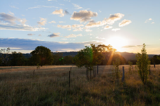Last light over long grass in paddock on Australian farm