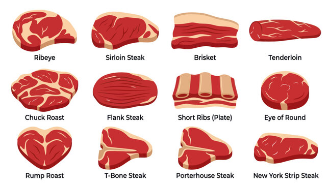 Beef Cuts Chart: Various Meat Types with Labels, Flat Design, Food Industry