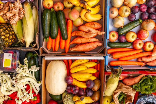 Colourful organic fruit and vegetable food split into boxes for local families