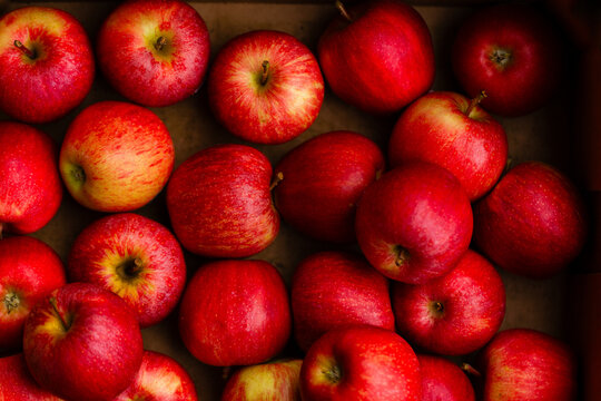 Full box of fresh apple fruit from overhead