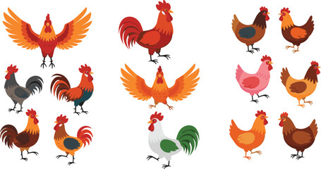 Rooster and chicken collection with different poses and colors, farm poultry birds set, colorful cartoon vector illustration isolated on white background © MdNazmul