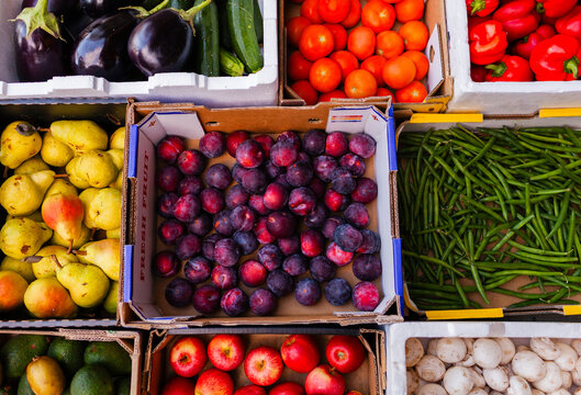 Colourful fresh organic fruit and veg straight from farmers in boxes delivered to hub