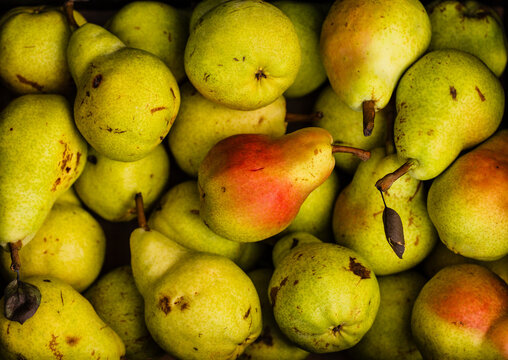 Fresh organic pears filling box