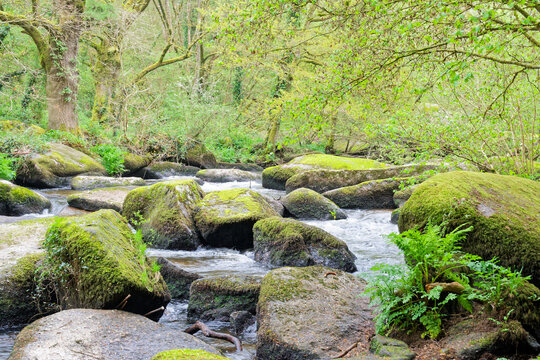 Le Chaos du Gou&euml;t offre une balade enchanteresse en Bretagne o&ugrave; la rivi&egrave;re serpente entre d'&eacute;normes blocs de granit moussus. Un site naturel sauvage, myst&eacute;rieux et id&eacute;al pour la randonn&eacute;e