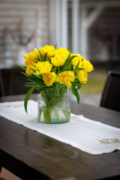 Beautiful bouquet of bright yellow double tulips arranged in a clear glass vase on a wooden dining table.