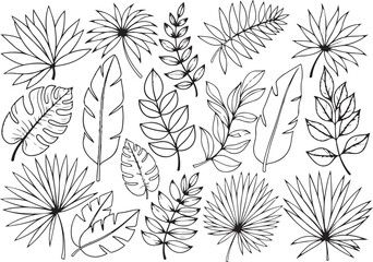 Fototapeta premium Black and white tropical leaf collection outline tropical leaves