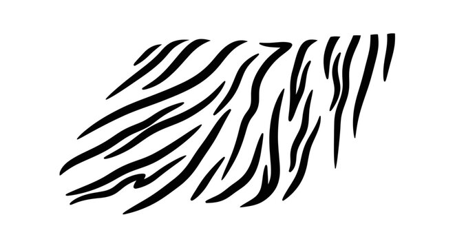 Black and white zebra stripes pattern, abstract animal print