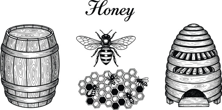 Hand drawn honey production set with bee hive honeycomb barrel and vintage engraving style beekeeping illustration collection