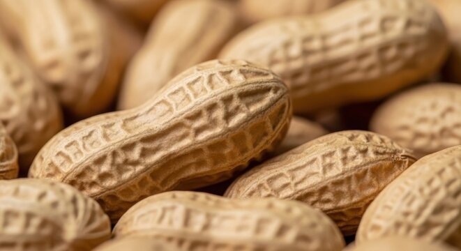 Extreme macro shot of whole raw peanuts in shells showing the detailed fibrous texture and pattern of the pods with shallow depth of field, organic unshelled groundnuts close up.
