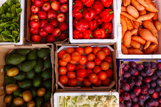 Boxes of fresh organic fruit and vegetable straight from farmers to food hub