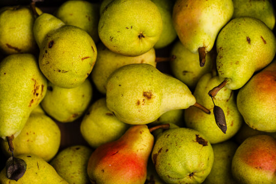 Fresh organic pears filling box