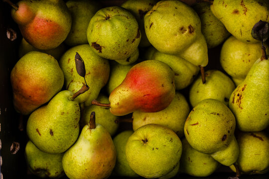 Fresh organic pears filling box