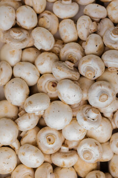 Fresh organic button mushrooms filling box