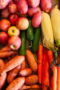 Fresh fruit and veg for healthy eating being packed in food hub box