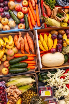 Colourful organic fruit and vegetable food split into boxes for local families