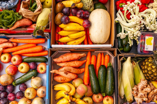 Colourful organic fruit and vegetable food split into boxes for local families