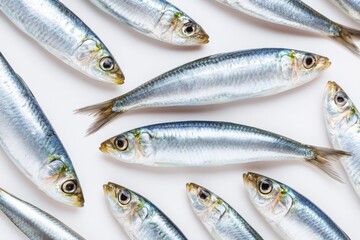 Fototapeta premium Multiple raw sardines arranged on a clean white surface, showcasing their shiny scales and elongated bodies, ideal for culinary presentations or seafood-related content