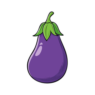 Single Purple Eggplant Vegetable Isolated on White Background Artistic Illustration