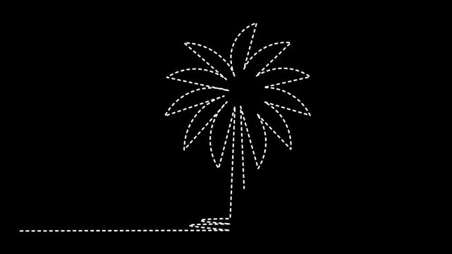 Palm tree tropical 4K animation forming outline minimal style beach island night symbol