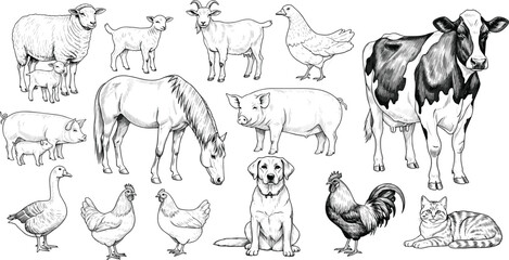 Hand drawn vector illustration set of farm animals including cow horse sheep pig chicken dog and cat for rustic nature design © RONY CHANDRA ROY