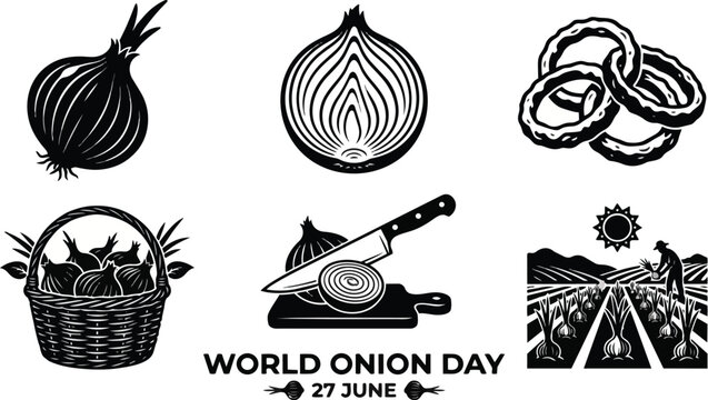 Celebrate the humble onion with illustrations showcasing its versatility from farm to table.