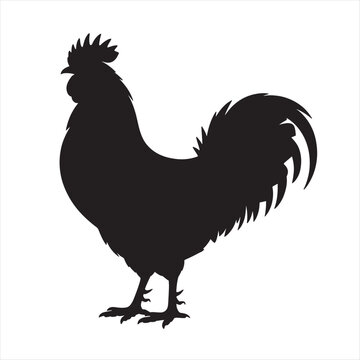 Cartoon black rooster silhouette and poultry bird illustration isolated on white background as a farm animal vector icon for agriculture and nature