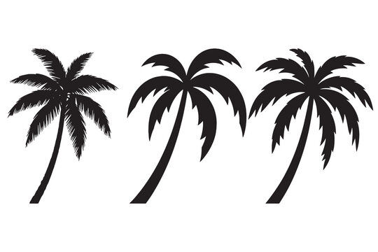 Palm Tree Silhouettes Vector Set Black Outline Tropical Design