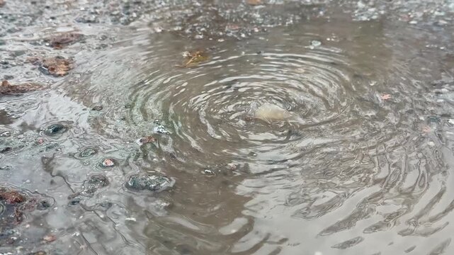 Water bubbling and rippling on wet asphalt surface after underground leak or pipe burst, urban infrastructure problem with water emerging through road crack, emergency utility issue concept