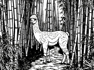 Obraz premium Black and white coloring book page, A alpaca acting playful in a dense bamboo forest, 