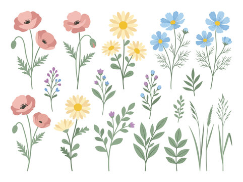 Hand Drawn Wildflower Collection with Poppies, Daisies, Cornflowers and Botanical Leaves; Spring Floral Vector Set for Wedding Invitations, Greeting Cards and Surface Patterns