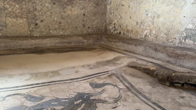 Ancient Roman Mosaic Floor in the Baths of Herculaneum