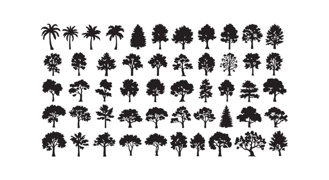 Big set of black tree silhouettes isolated on white background various forest botanical shapes for natural design work.