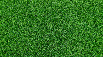 Obraz premium Lush green grass texture background