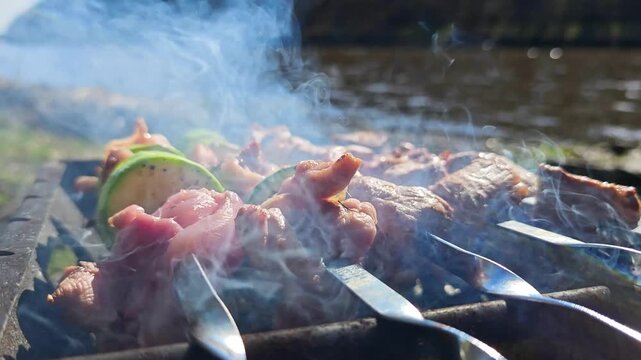 Barbecue grill with sizzling meat skewers by river