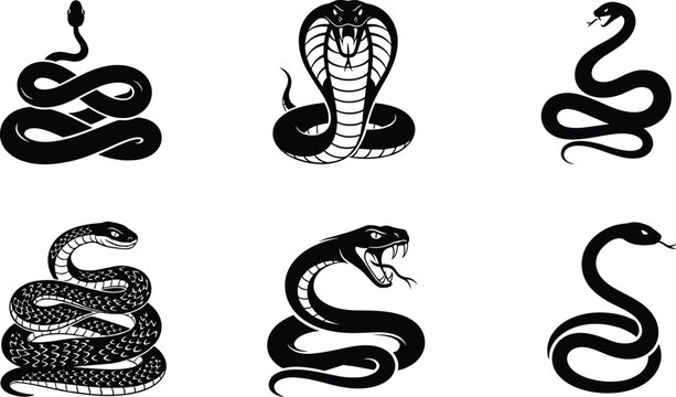 Snake illustrations, cobra silhouette, venomous reptile art, coiled serpent design, aggressive fang display, stylized snake vector, reptile symbolism, dangerous wildlife, exotic serpent artwork