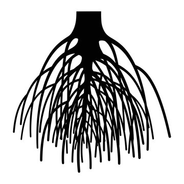 Intricate root system illustration showcasing the hidden world beneath the surface.