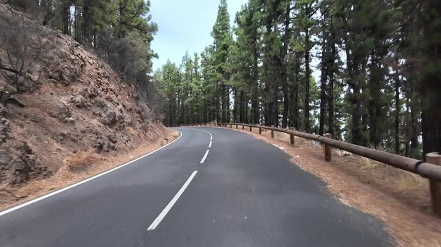 Scenic car driving through a winding mountain pine forest road