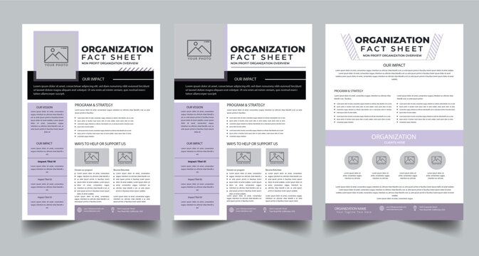Nonprofit Organization Fact Sheet, Organization Fact Sheet for Business Concept Layout With Three Page & Color Design Step