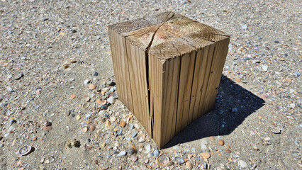 A square wooden post stump stands upright in coarse beach sand surrounded by numerous small, broken seashells and pebbles. © aura