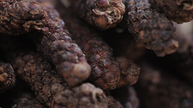 Indonesian long black peppercorns, close up of spices, dry hot pepper. 