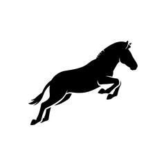 Fototapeta premium Silhouette of a horse jumping gracefully.