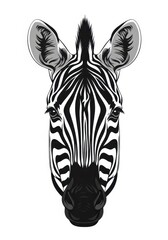 Obraz premium Frontal portrait of a zebra head displays striking black and white striped patterns.